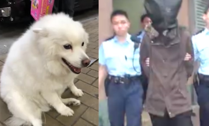 Siu Bak (left) was thrown off the rooftop of an apartment block by his owner’s son (right). Screengrabs via Apple Daily video.
