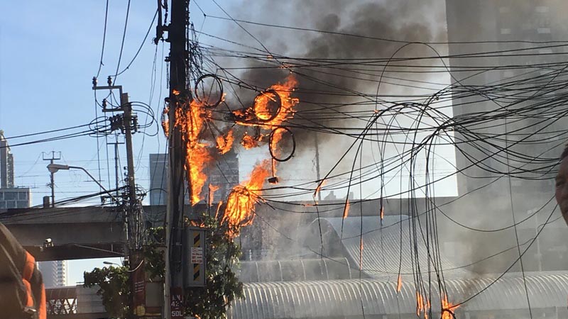 Like other forests, Bangkok's cabling require regular regenerative burning. Photo: Metropolitan Electricity Authority