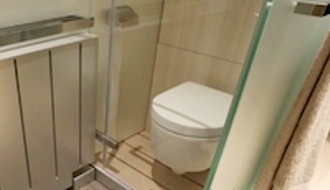 Is this one of the city’s most expensive toilets? Screengrab via Apple Daily video.