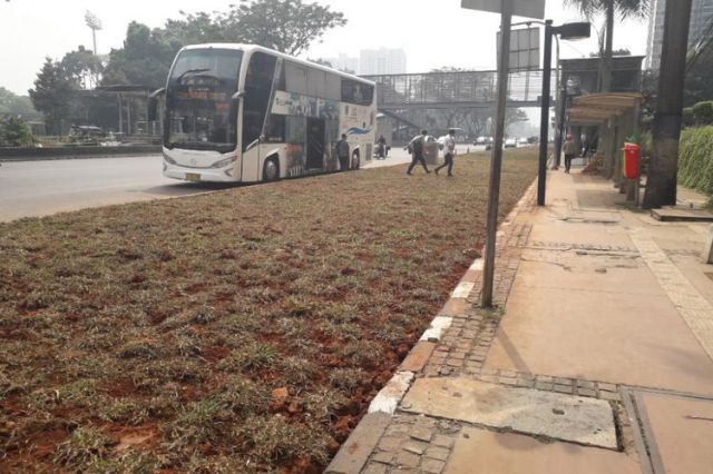 A newly installed grass strip blocking access for a bus stop to the road in Central Jakarta. Photo: Twitter