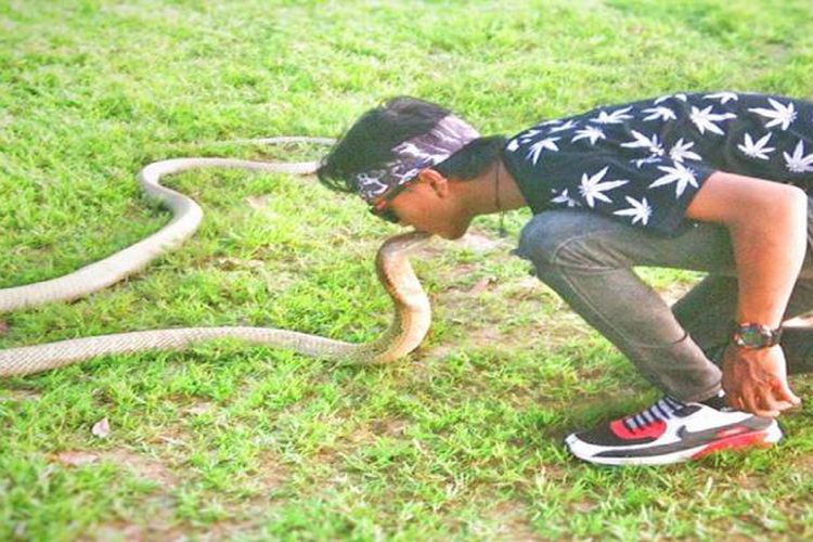 Rizky Ahmad playing with his pet king cobra during Car Free Day (CFD) in Palangkaraya, Central Kalimantan on Sunday.