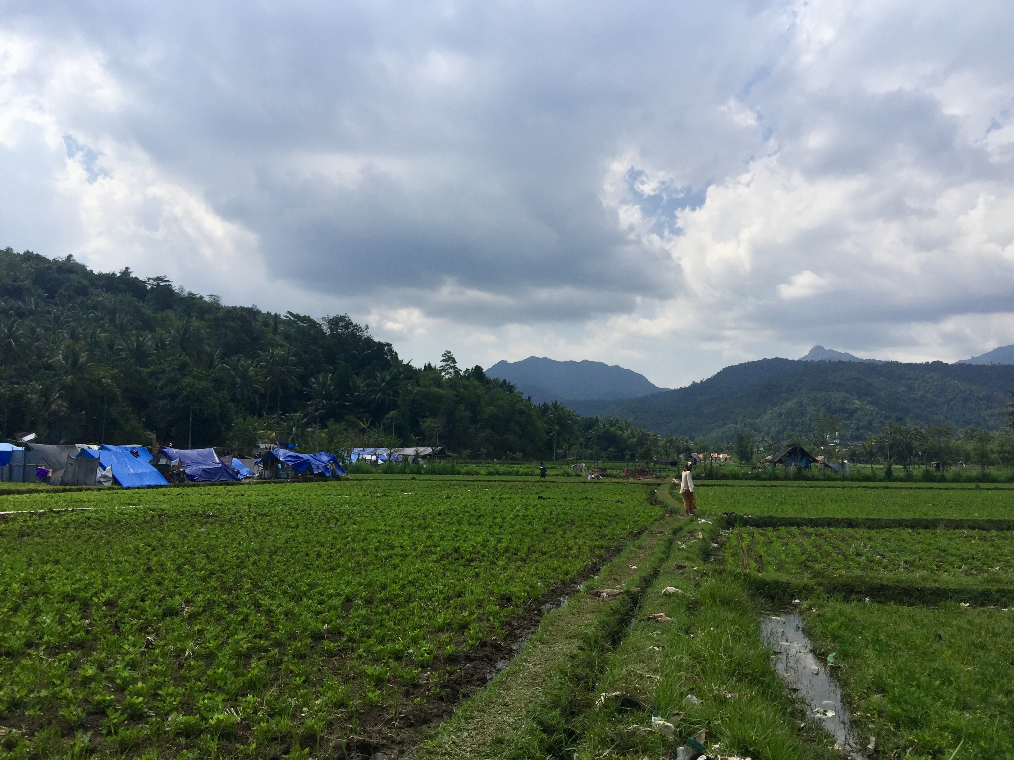 An evacuation camp in West Lombok on August 19, 2018. Photo: Coconuts Bali