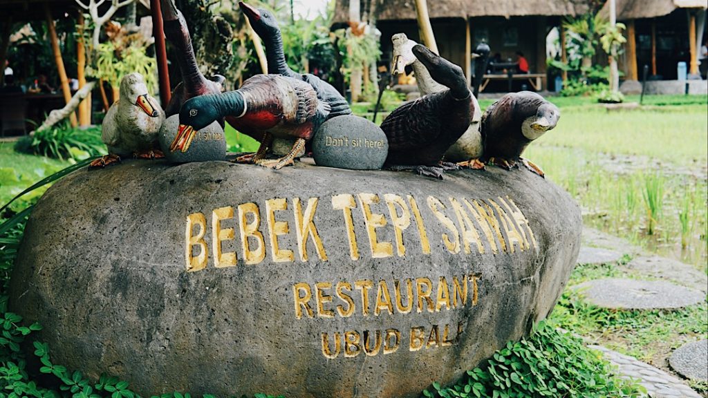 Only ducks can sit here. Photo: Coconuts Bali