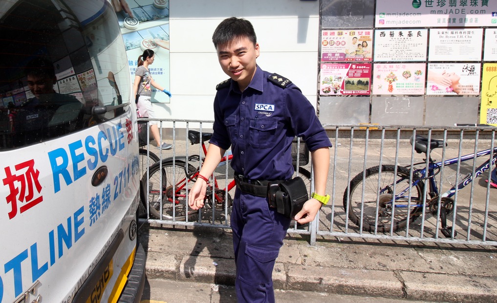 Tommy Tse, animal rescue. Picture: Coconuts HK.