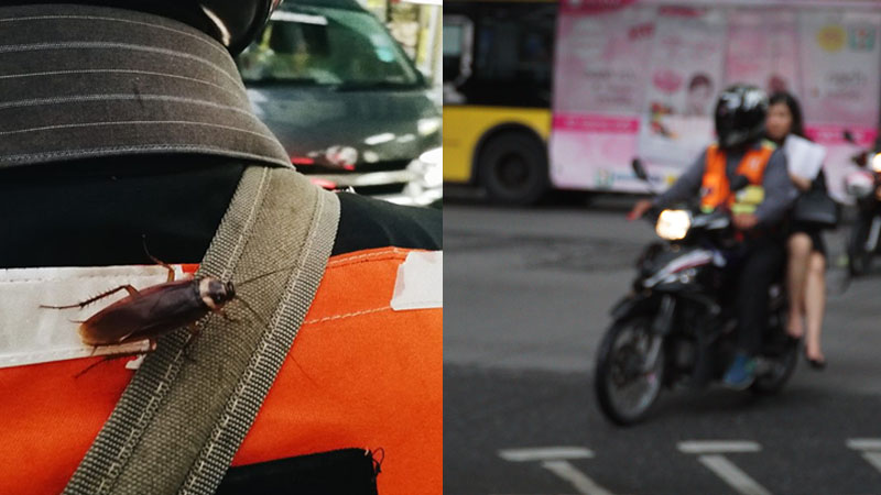 Left: A creepy insect on the back a moto-taxi driver. Photo: Mooku Yusuk/ Facebook. Right: A file photo of a woman riding on a moto-taxi. Photo: Coconuts Media