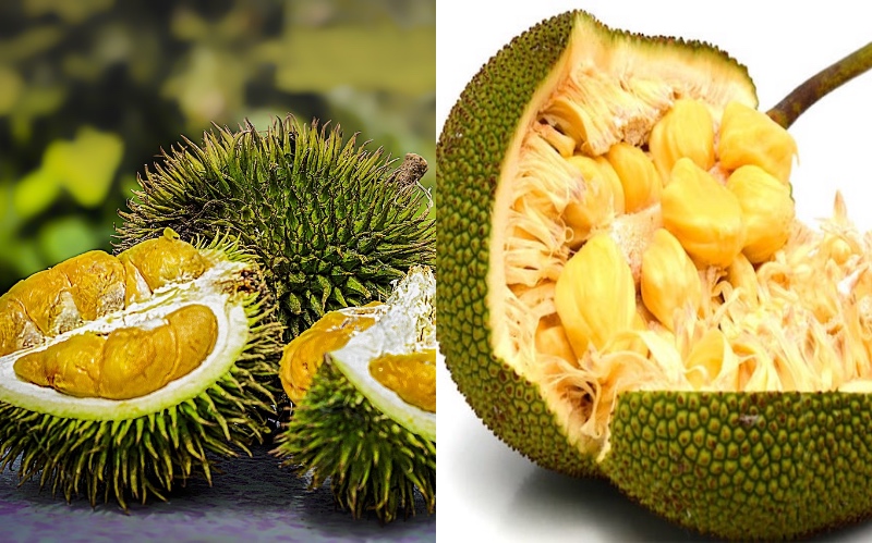 Durian on the left, jackfruit on the right