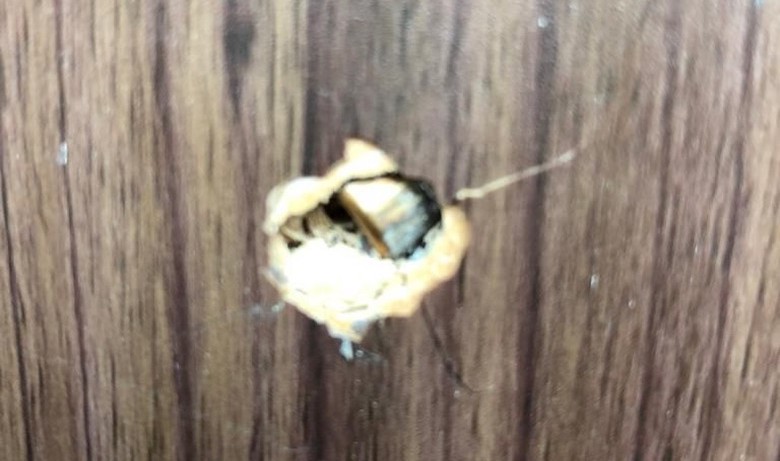 A bullet lodged inside a wall at an office in Indonesia’s House of Parliament (DPR). Police believe the bullet strayed from a nearby shooting range. Photo: Twitter