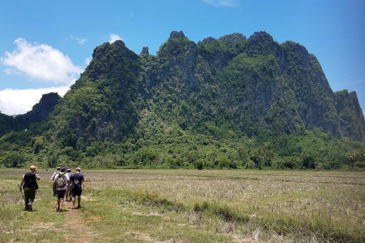 The research team walking toward Chaunghanakwa, a limestone karst in Mon State. Photo: Lee Grismer