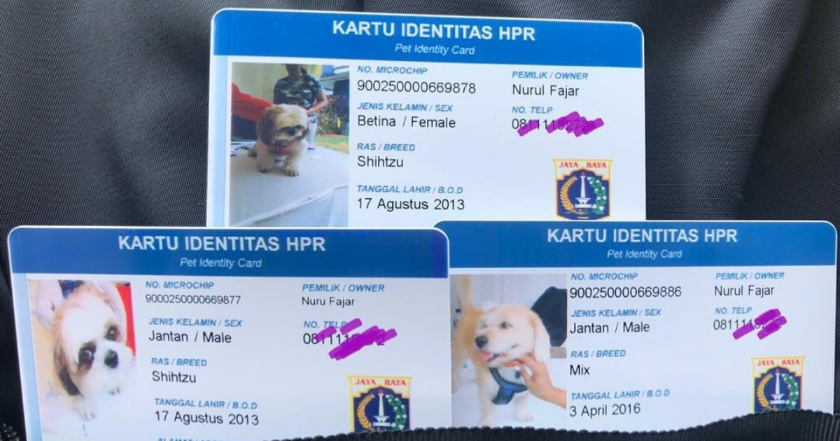 Dog ID cards issued by the Jakarta government. Photo: @beau.twinkle.bruno / Instagram