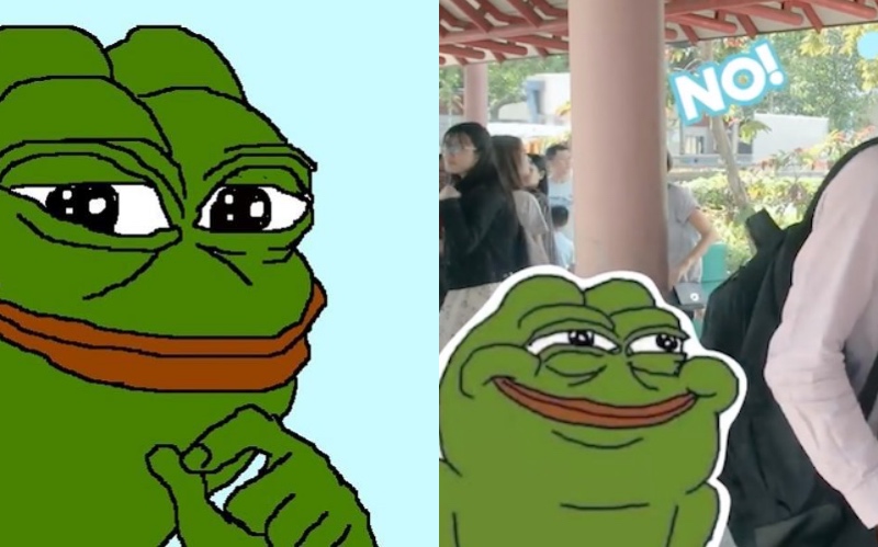 Pepe the Frog graphic; video screengrab