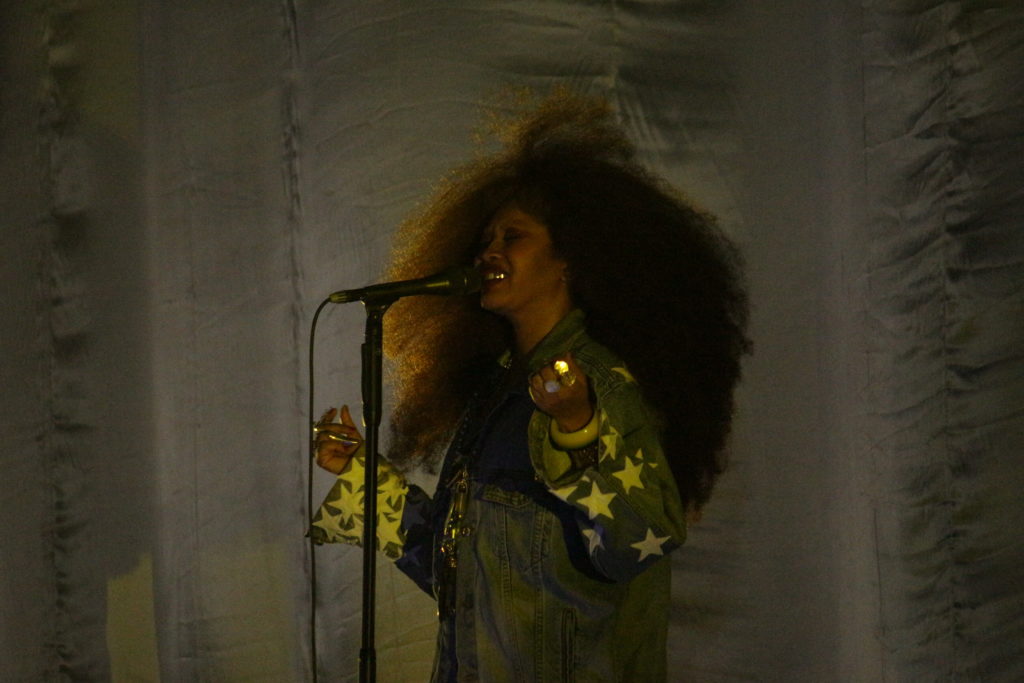 Queen of neo-soul Erykah Badu. Photo by Vicky Wong.