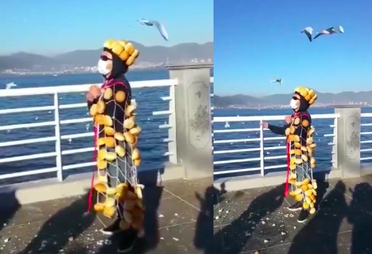Man feeding gulls in Kunming with a bread cape and crown. Screengrabs via Weibo.