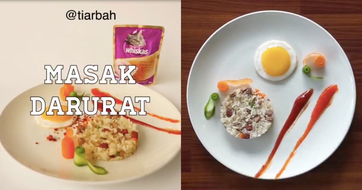 Would you eat nasi goreng with cat food? Photo: Twitter/@Tiarbah