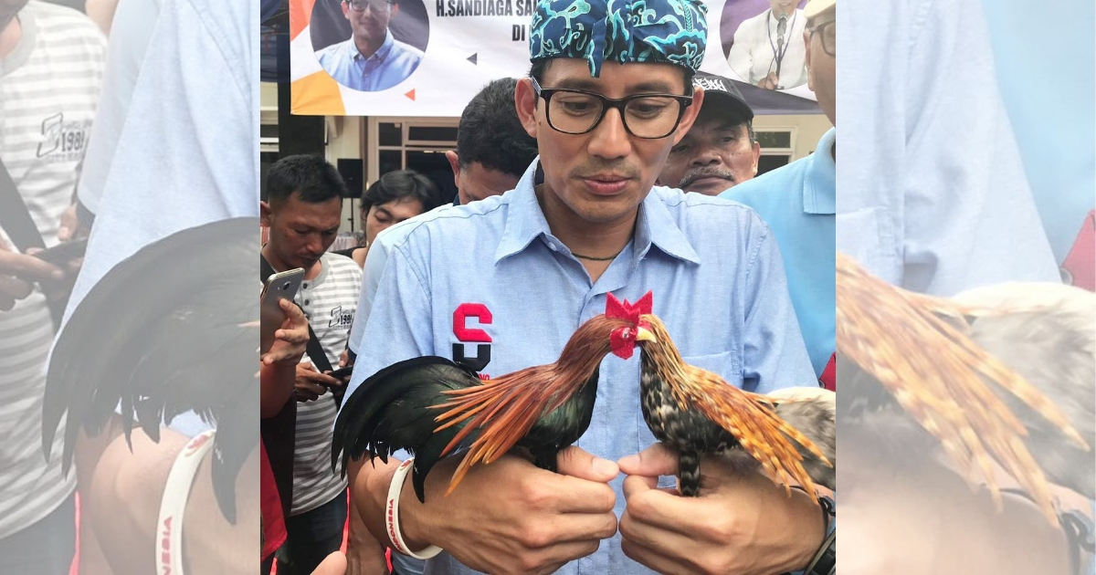 File photo of Tourism and Creative Economy Minister Sandiaga Uno and roosters. Photo: Instagram/@sandiuno