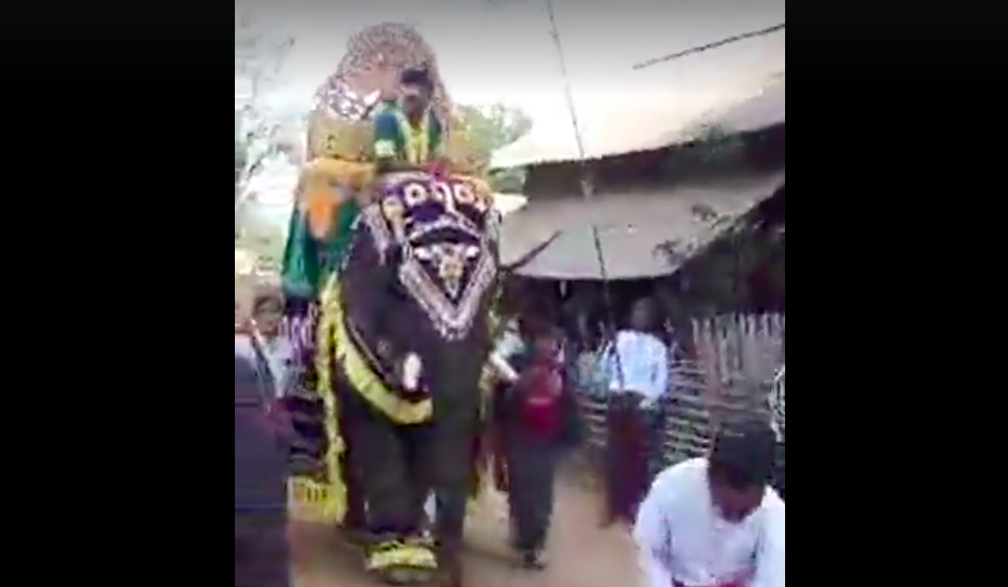 Moments before an elephant took off carrying a human child and elephant rider – screenshot via Facebook Video