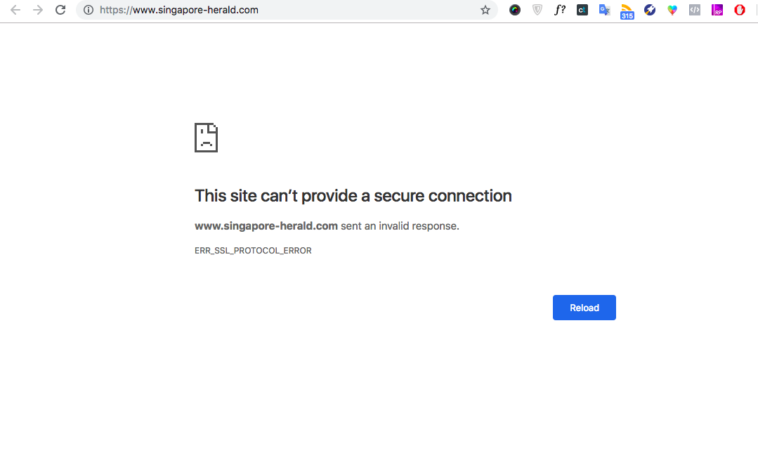 Coconuts Singapore's attempt to access the Singapore Herald website on Saturday using a Singapore-based connection was not successful (Photo: Screenshot of https://www.singapore-herald.com)