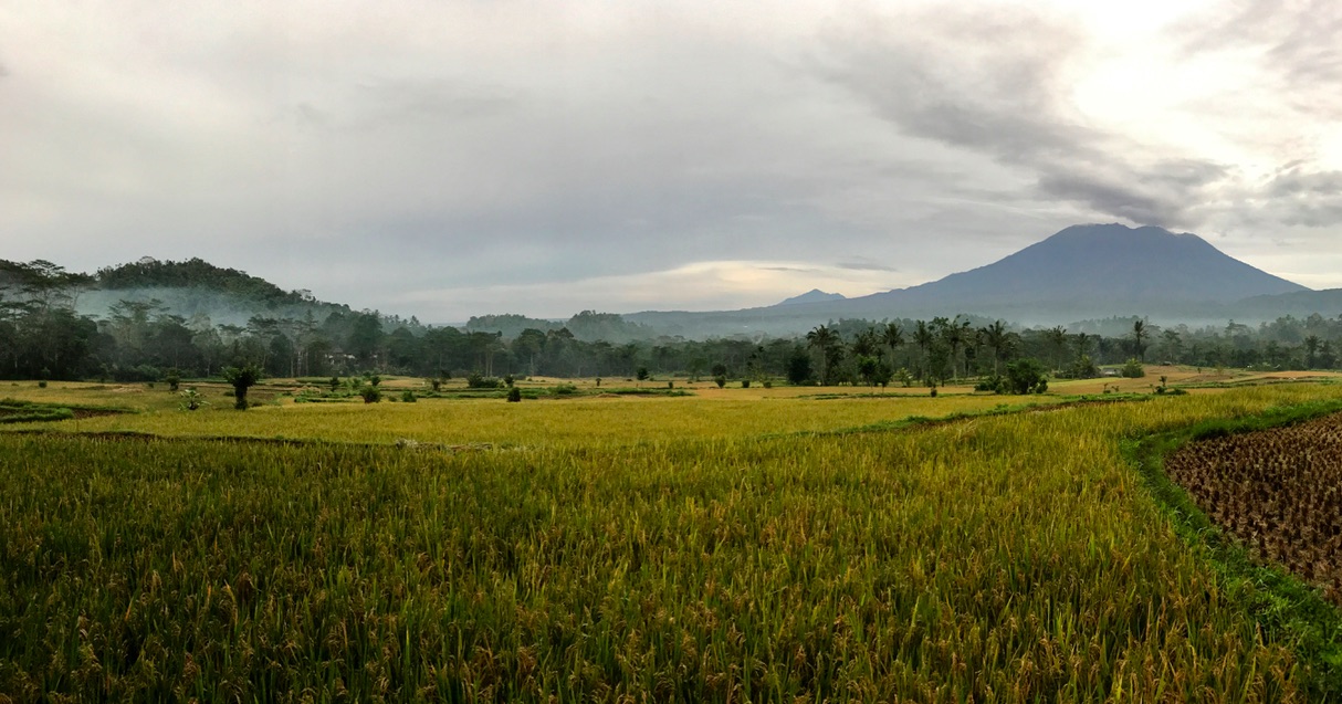 Mount Agung on a calm day. Photo: Coconuts Bali
