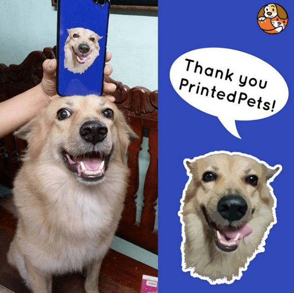 Photo: Printed Pets