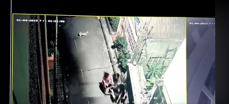 Screenshot: CCTV footage posted by Facebook user Chrisha Lingad. 