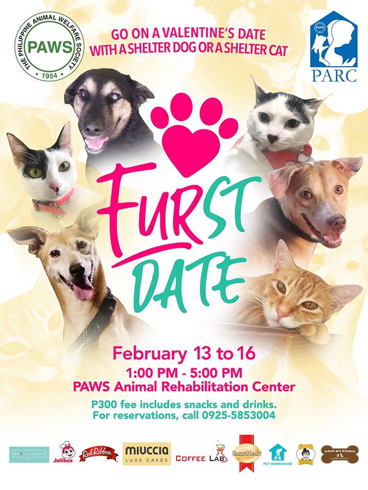 Go on a date with rescued animals this Valentine's Day | Coconuts