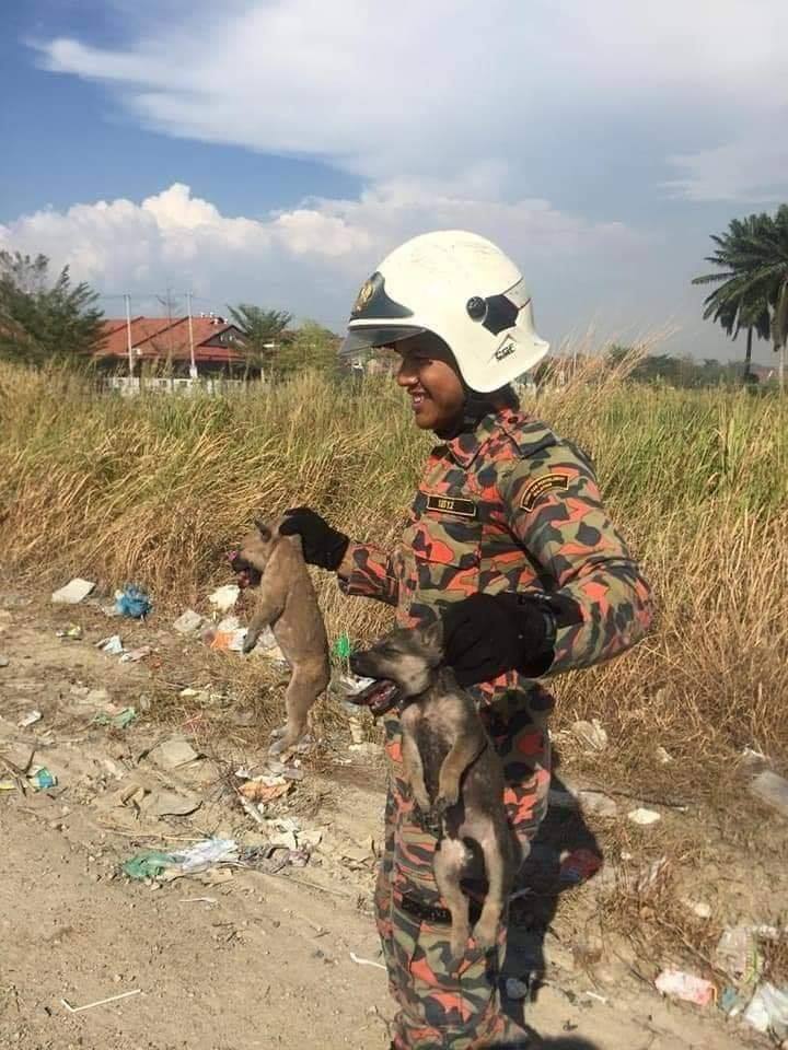 via Penang Kini/Bomba