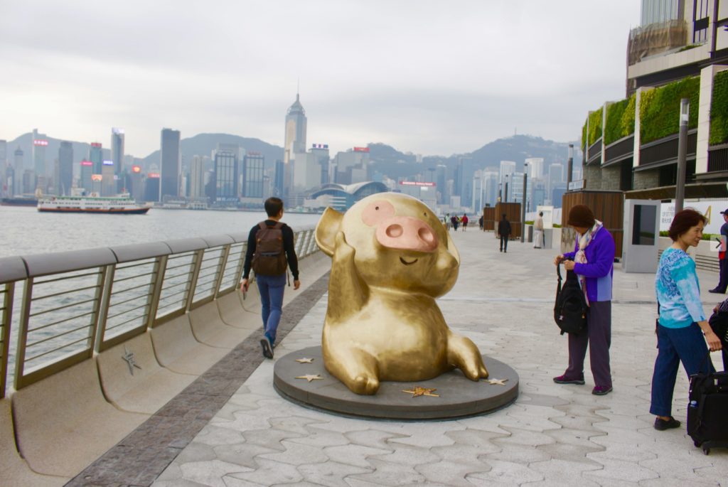 A statue of Hong Kong's favorite cartoon pig McDull. Photo by Vicky Wong.