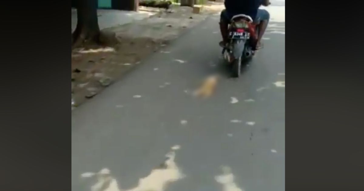A 15-second video of a cat tied to and dragged by a motorcycle recently went viral in Indonesia.