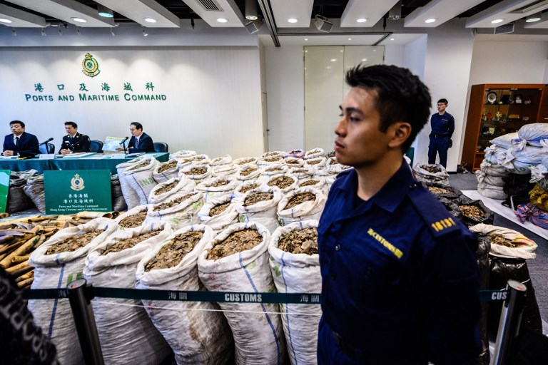 A customs officer stands in front of sacks of seized endangered pangolin scales and ivory elephant tusks (left) during a press conference today. Photo via AFP.