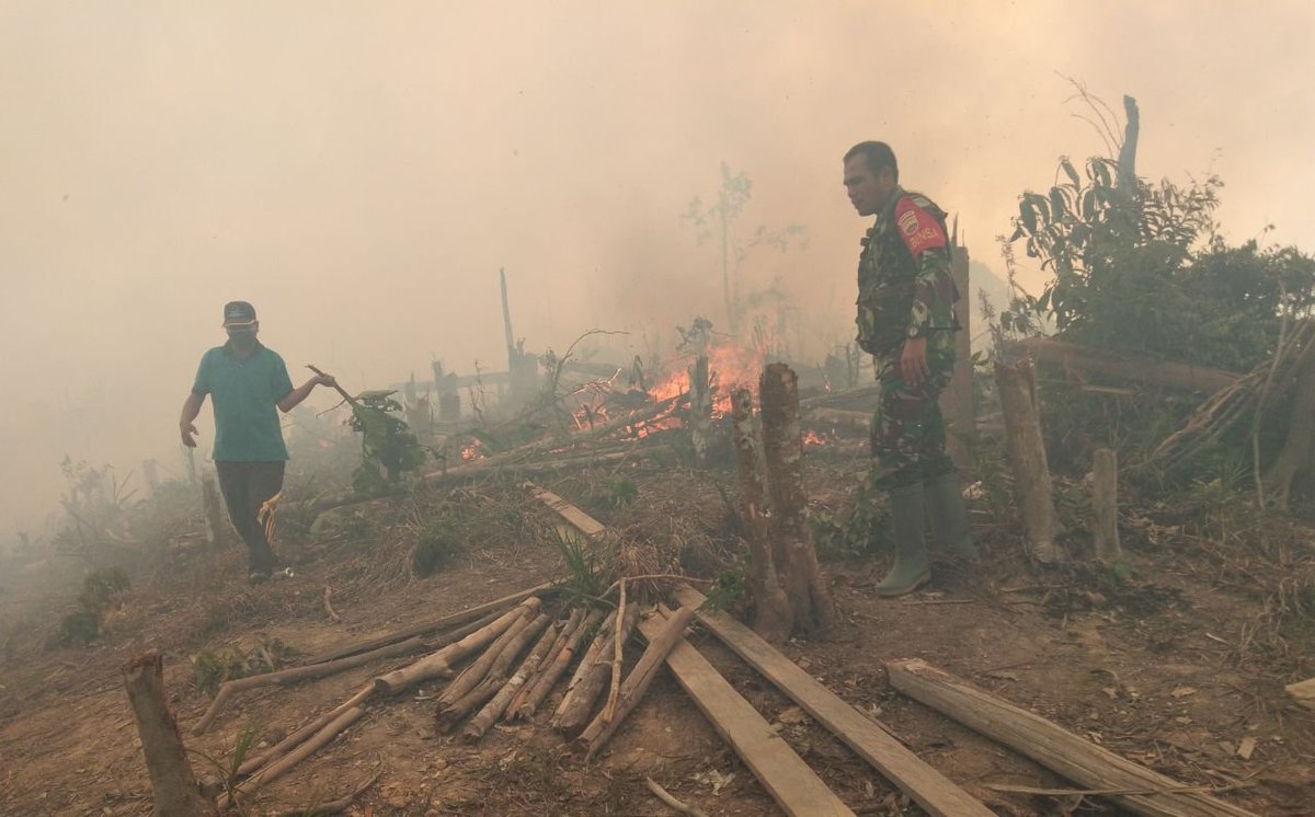 Photo of fires in Riau posted on Sept 17, 2018 by Sutopo Purwo Nugroho, the Head of the National Agency for Disaster Management’s Data Information and Public Relations Center.  Photo: @Sutopo_PN / Twitter 
