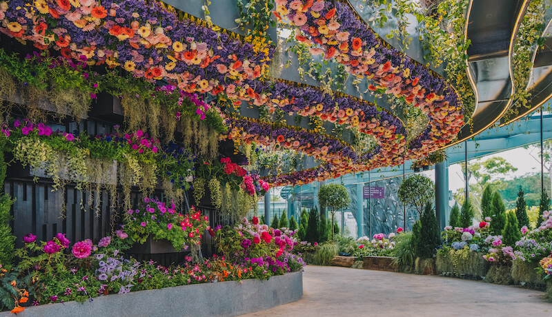 The blossoming new Floral Fantasy at Gardens by the Bay will open next