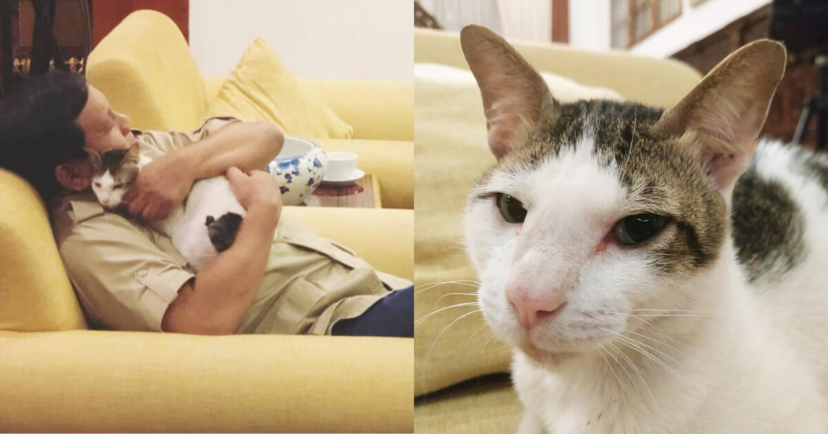 Presidential candidate Prabowo Subianto and his cat Bobby. Photo: Instagram/@bobbythek4t