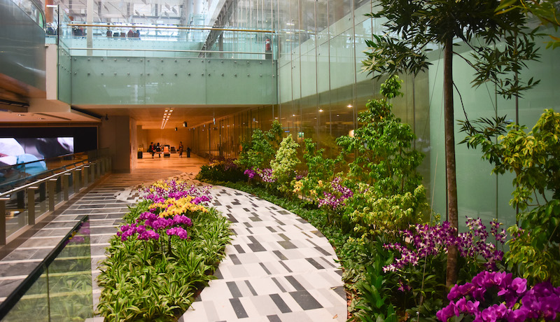 Indoor garden. Photo: Changi Airport Group