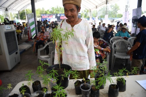 A man waits to register his prescriptions for medicinal cannabis oil during the second day of the inaugural Pan Ram weed festival in the Thai northeastern province of Buriram on April 20, 2019. (Photo by Lillian SUWANRUMPHA / AFP)