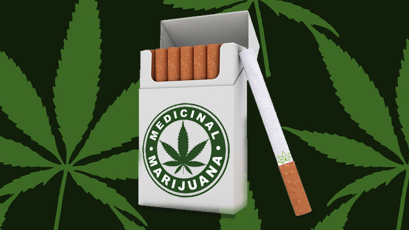 Сигары с коноплей обои марихуаны для айфона
