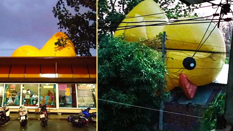 After briefly taking flight, Udon Thani’s famed giant rubber duck came to rest Sunday evening atop a massage parlor. Photos: “Udon checkpoints, news, temple fairs etc. please notify”’  / Facebook 