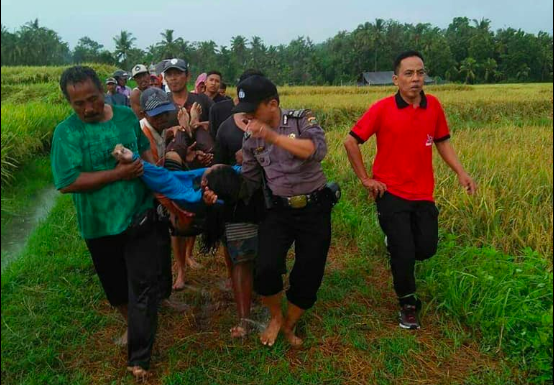 Rescuers carry a lightning strike victim through the rice fields on Friday. Photo: Facebook/Swara Negara