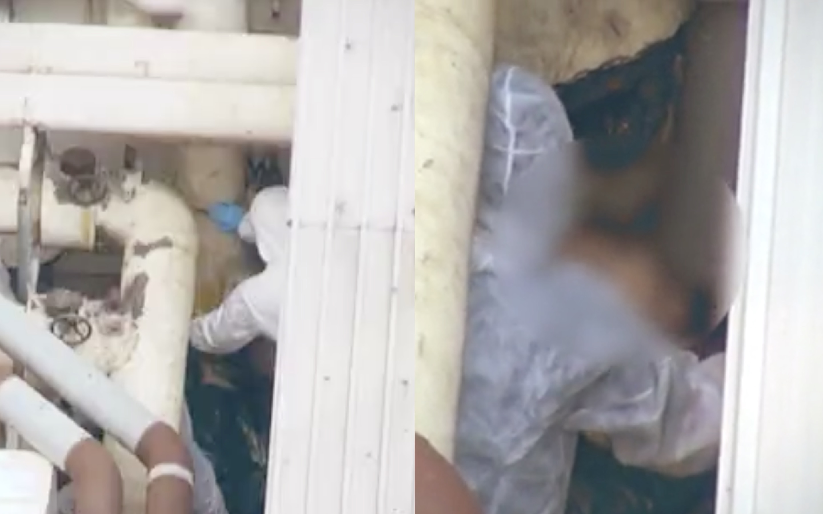 Forensics experts on the rooftop of a restaurant in To Kwa Wan where the dead body of a naked woman was found. Screengrab via Apple Daily video.