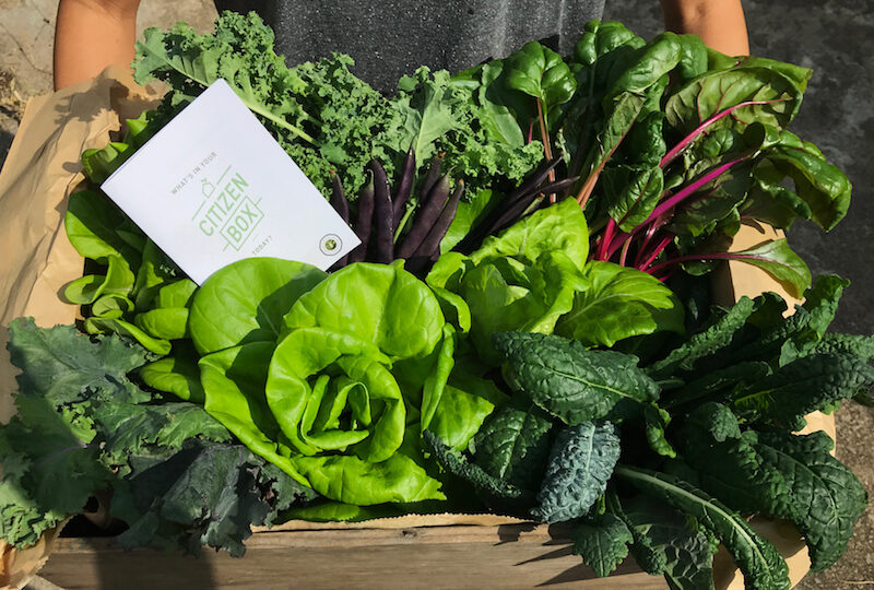 Produce from Edible Garden City. Photo: Sprout