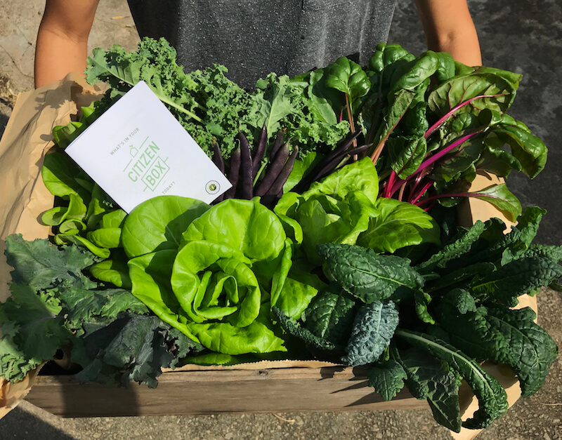 Produce from Edible Garden City. Photo: Sprout