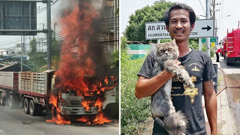 The truck engulfed in flames and Sanya Tomid with his beloved Persian cat “Ten Wheeler.” Photo: JS100