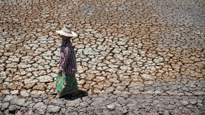 A farmer in drought-stricken Thailand in 2015. Photo: AFP