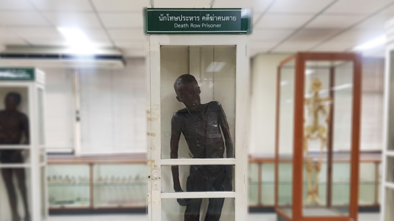  Si Quey Sae-Ung is the marquee draw to Bangkok’s Siriraj Medical Museum, where he will no longer be labeled a ‘cannibal’ but rather a “Death Row Prisoner.” Photo: Government Public Relations Department
