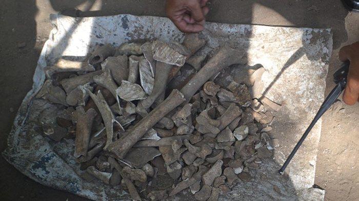 Komang Suastika, a 39-year-old man from Klungkung regency, said he accidentally found the bones while he was using a hoe to hack cliff soil on the side of his house. Photo: Istimewa