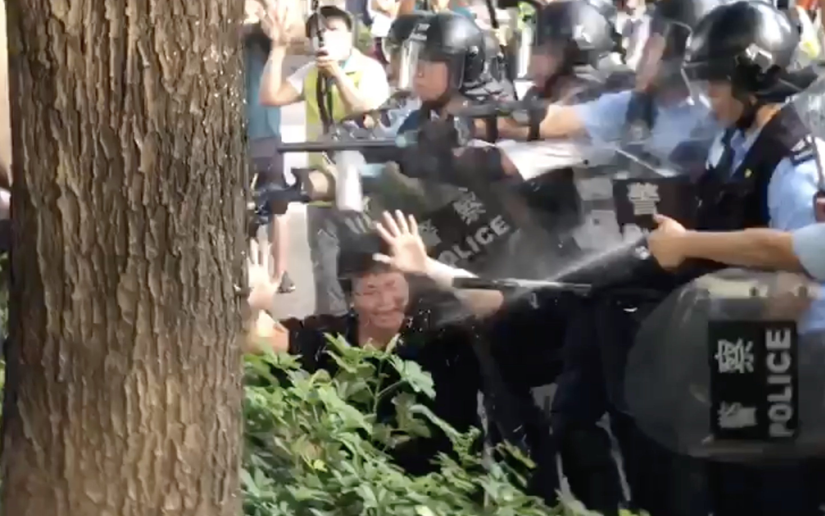 Video posted online shows the moment police officers pepper spray an unarmed district councillor during a protest in Sheeung Shui. Screengrab via Facebook Video/Neo Democrats.