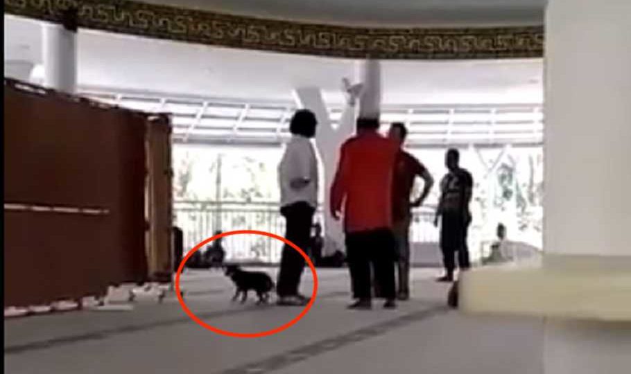 SM (in white shirt) confronting angry worshippers as she brought her dog into a mosque in Bogor and set it loose in June 2019. Photo: Video screengrab