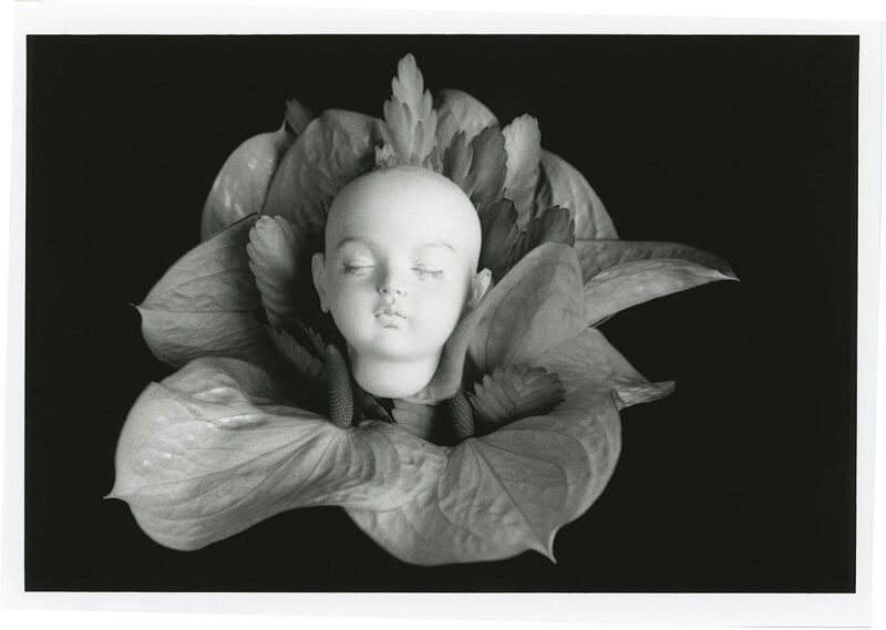 Nobuyoshi Araki’s image which will be on display at Life by Film exhibition. 
