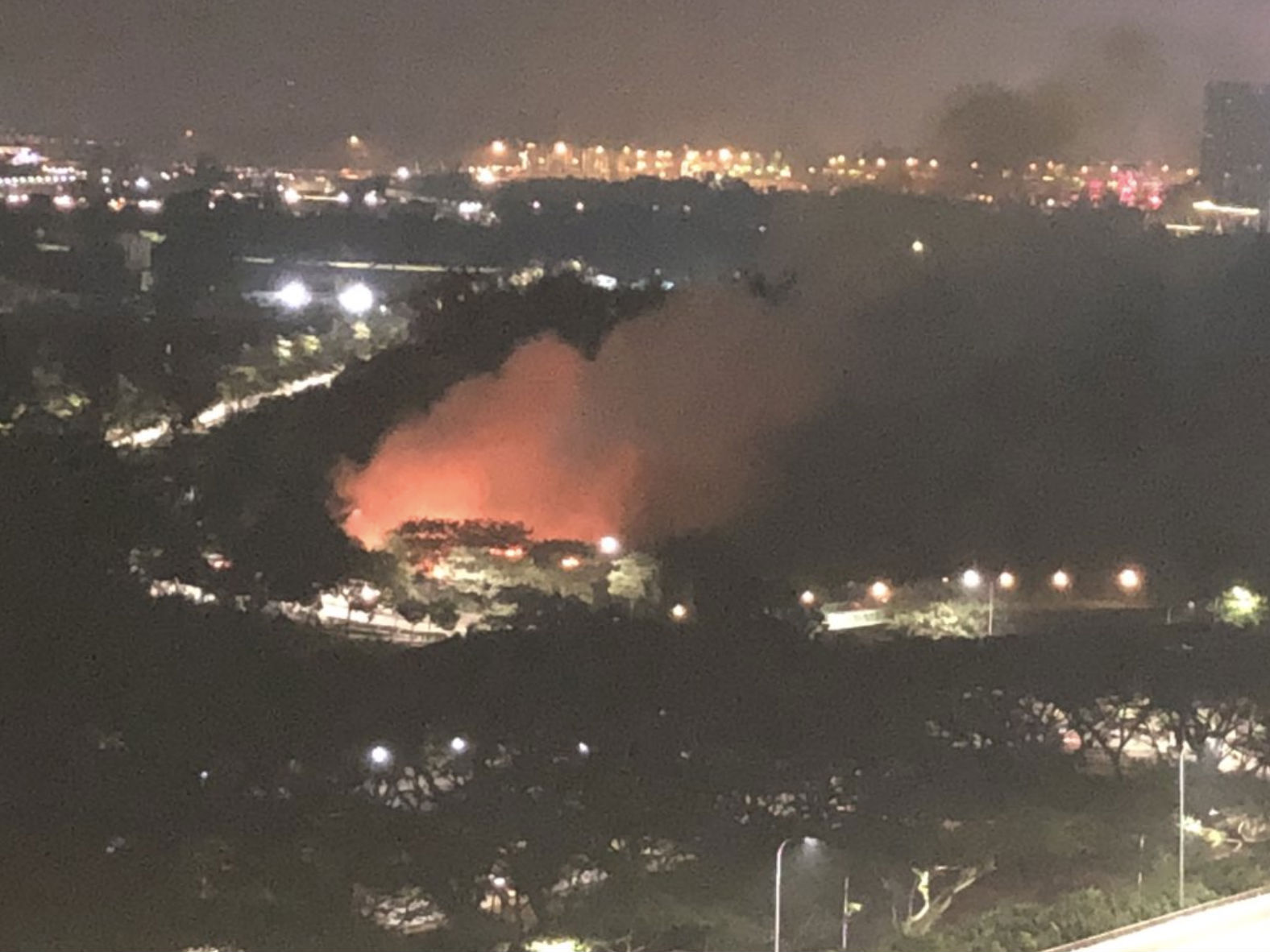 Image of a “vegetation fire” in East Coast Park by Twitter user Gaurav Modi. 