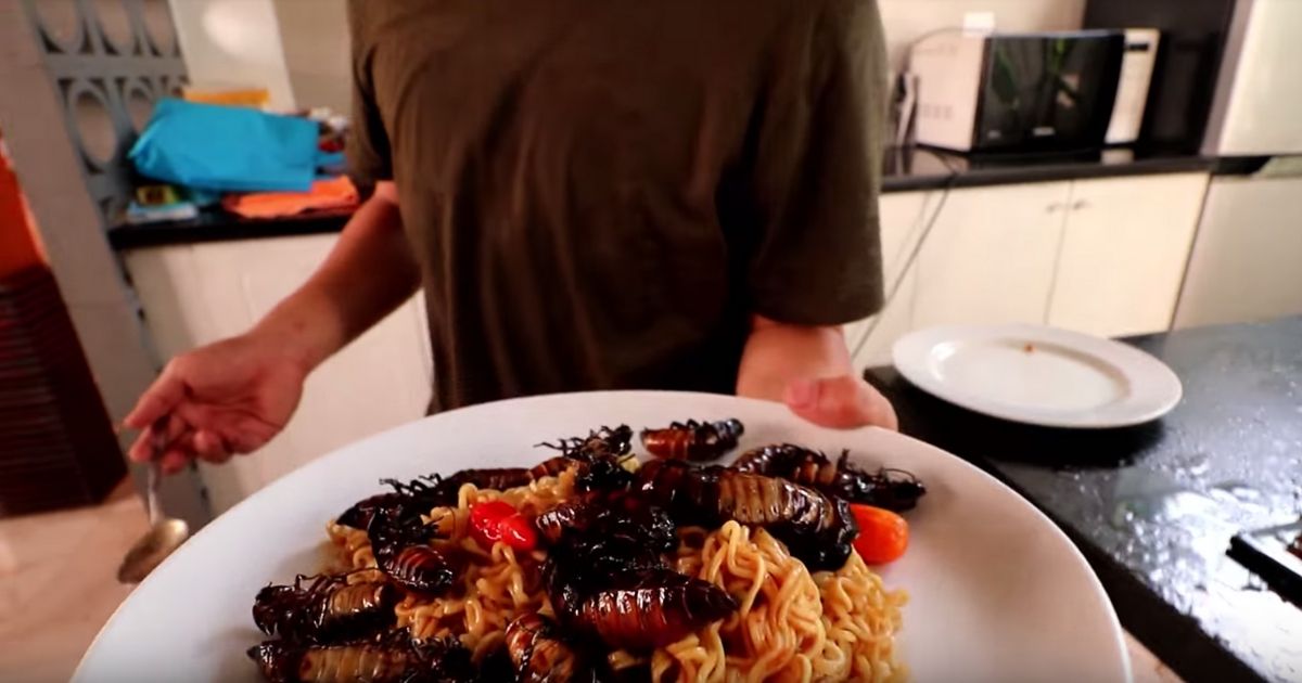 An Indonesian Youtuber named Bobon Santoso recently made a video that became a viral hit, in which he added cockroaches into his plate of Indomie Goreng. Screenshot from Youtube/The Santoso