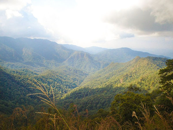 Mae Takhrai National Park. Photo: National Parks, Wildlife and Plant Conservation Department