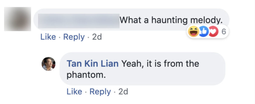Screenshot of comment on Tan Kin Lian's Facebook page. 